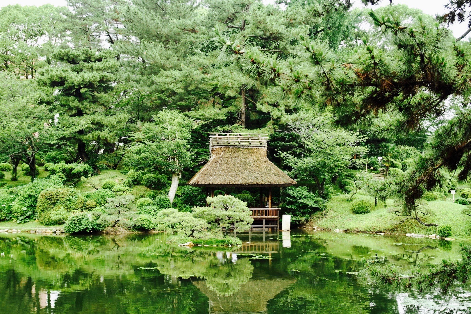 Horké japonské dívky sex